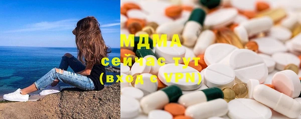индика Вяземский