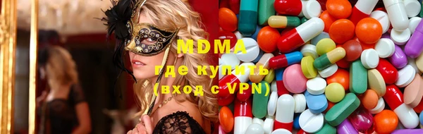 индика Вяземский