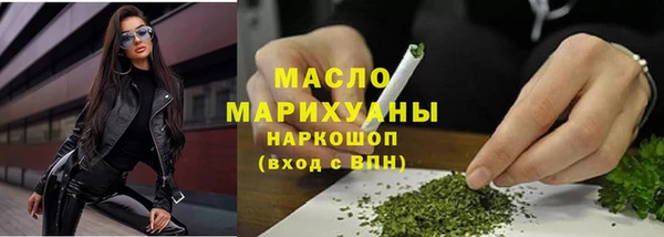индика Вяземский