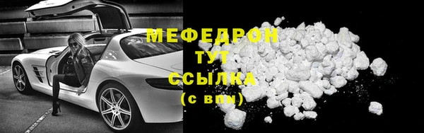 индика Вяземский