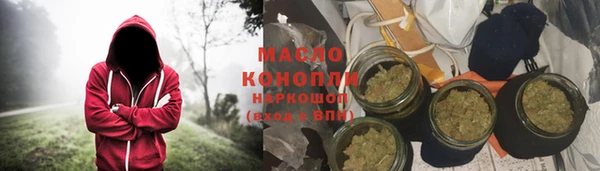 индика Вяземский