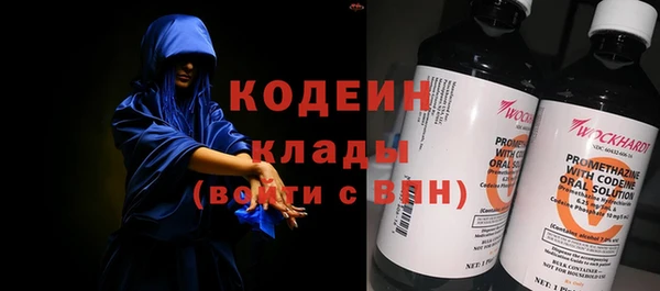 индика Вяземский