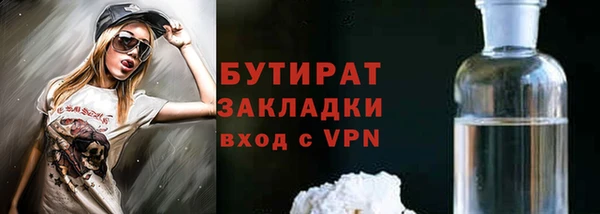 индика Вяземский