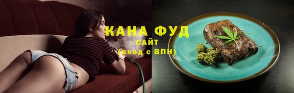 индика Вяземский