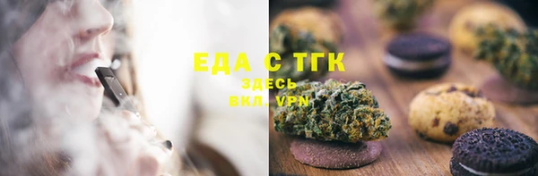 индика Вяземский