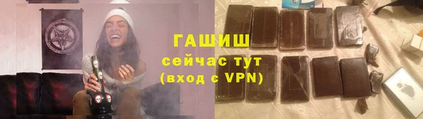 индика Вяземский