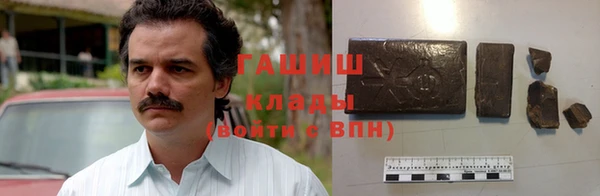 индика Вяземский