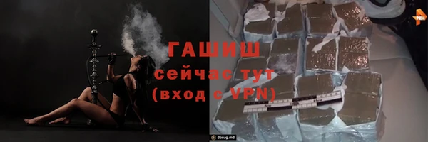 индика Вяземский