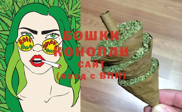 индика Вяземский