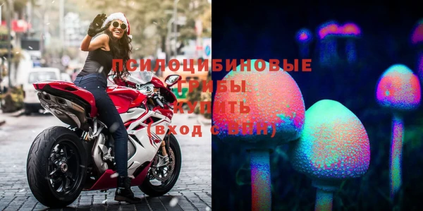 индика Вяземский