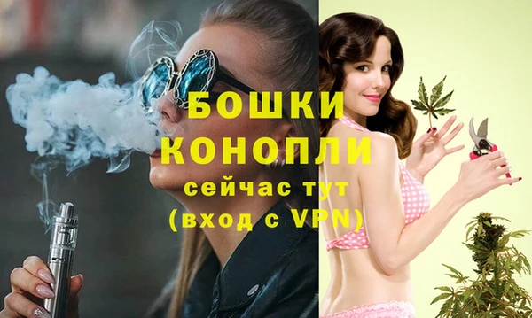 индика Вяземский