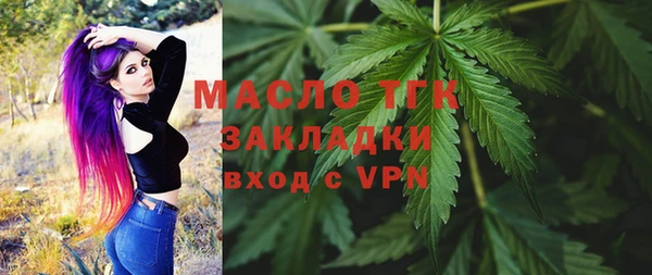 индика Вяземский