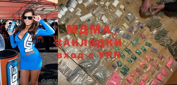 индика Вяземский