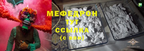 индика Вяземский
