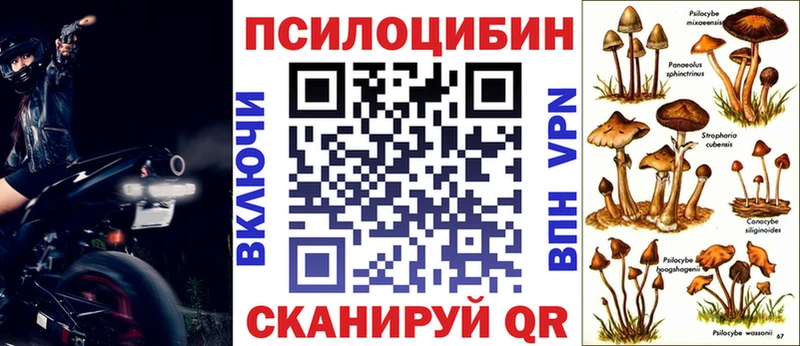 Галлюциногенные грибы прущие грибы  Чистополь 
