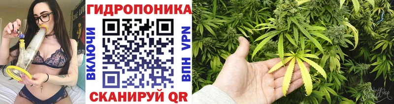 darknet официальный сайт  Чистополь  Каннабис марихуана 